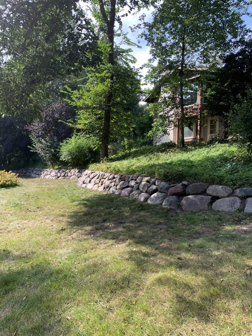 Cleared brush after removal — Plymouth MN