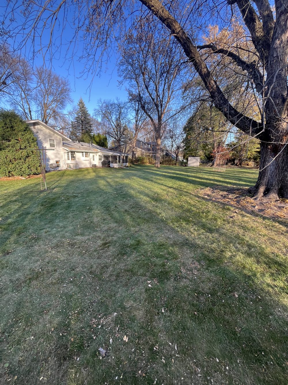 Fall cleanup after — cleared yard Plymouth MN